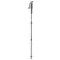 Trespass STRYDER - 2 PC WALKING POLE SET  schwarz