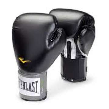 Boxhandschuhe Everlast Pro Style