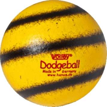 Dodge- / Völkerball Volley