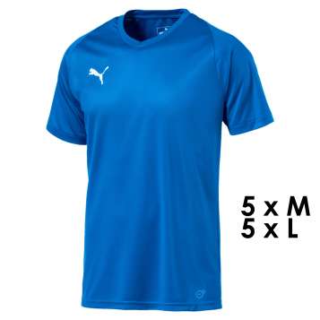 Puma Trikot Core Team 10-er Set Erwachsene - Electric Blue Lemonade - White