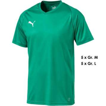 Puma Trikot Core Team 10-er Set Erwachsene - Pepper Green - White