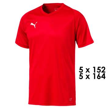 Puma Trikot Core Team 10-er Set Kinder - Puma Red - Puma White