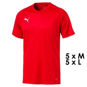 Puma Trikot Core Team 10-er Set Erwachsene - Puma Red - Puma White