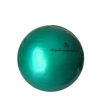 Trial Physio- und Therapieball 55 cm