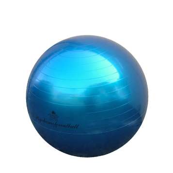 Trial Physio- und Therapieball 65 cm