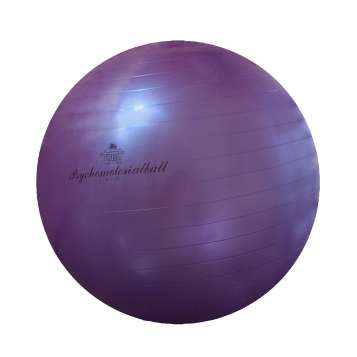 Trial Physio- und Therapieball 90 cm